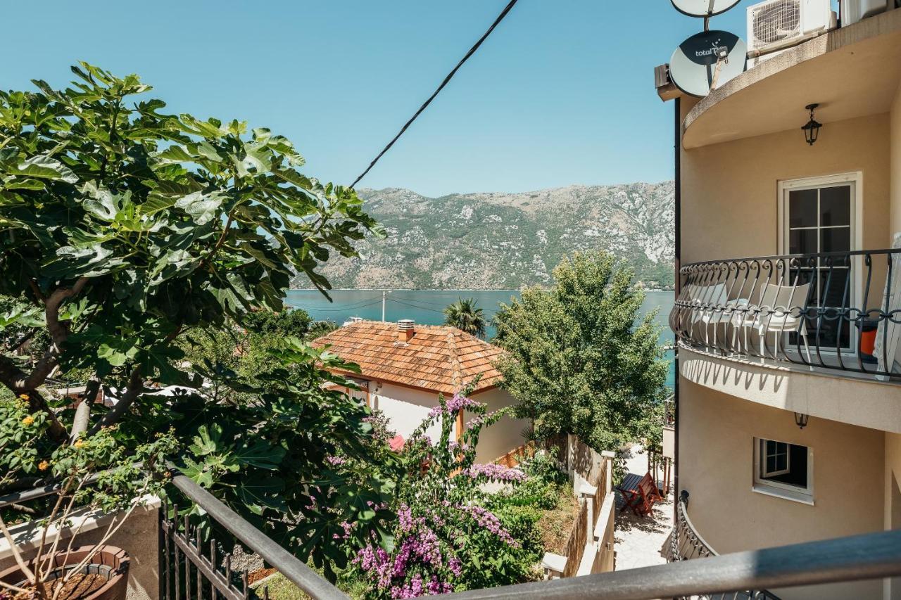 Apartments Cosovic Kotor Kültér fotó